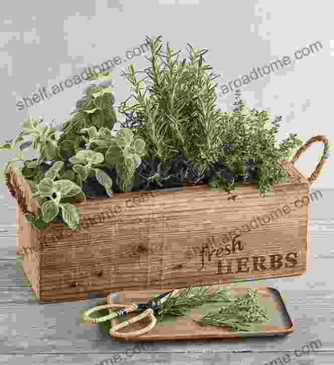 A Collection Of Dried Herbs Arranged In A Wooden Box, Each Herb Labeled With Its Name And Properties Pagan Portals Magic For Hedge Witches: Sourcing Ingredients Connection Spell Building