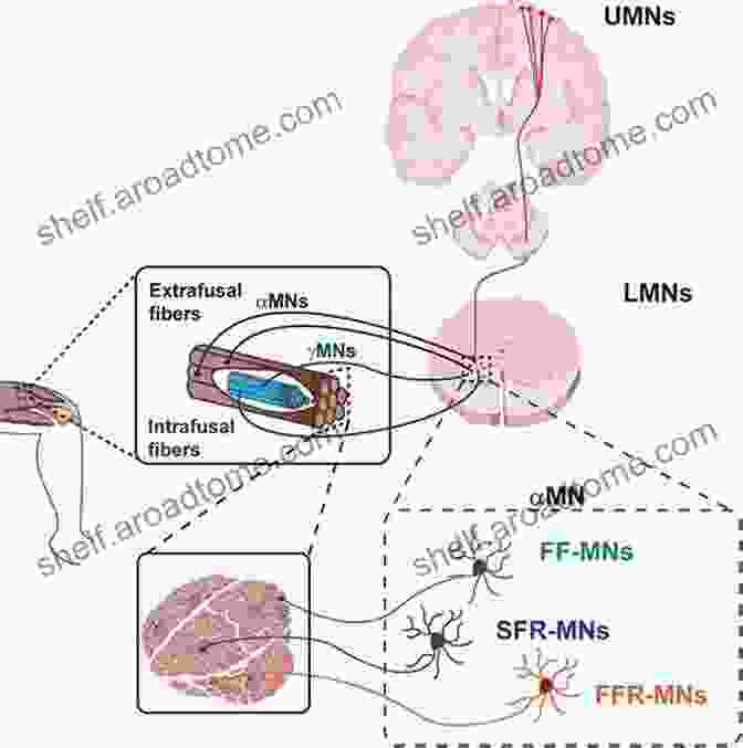 A Conceptual Representation Of Nanomaterials Interacting With Neurons, Providing Neuroprotective Effects And Mitigating The Damaging Effects Of Parkinson's Disease. Parkinson S Disease Therapeutics: Emphasis On Nanotechnological Advances