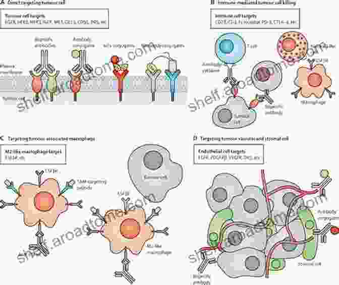 A Detailed Schematic Illustrating The Targeted Delivery Of Therapeutic Agents To Specific Sites Within The Brain Using Nanoparticles, Bypassing The Blood Brain Barrier. Parkinson S Disease Therapeutics: Emphasis On Nanotechnological Advances