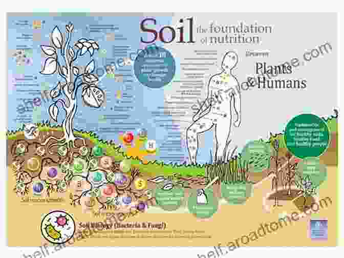 A Graphic Illustrating The Interconnected Relationship Between Soil Health And Human Well Being The Soul Of Soil: A Soil Building Guide For Master Gardeners And Farmers 4th Edition