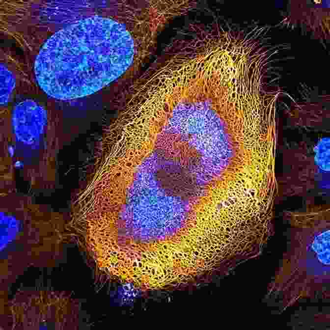 A Microscope Examining A Human Cell, Highlighting The Scientific Exploration Of Weight Related Factors Body Of Truth: How Science History And Culture Drive Our Obsession With Weight And What We Can Do About It