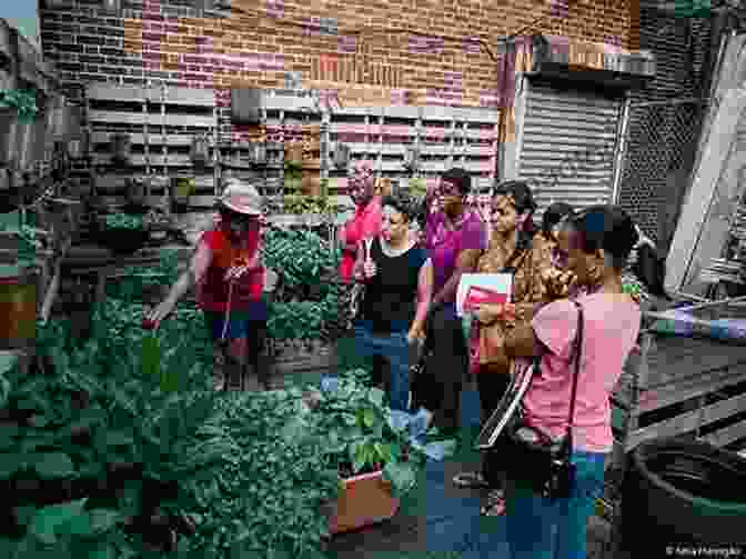 A Photo Of A Community Garden, Demonstrating The Power Of Local Initiatives In Promoting Sustainability. Sustaining The Earth Scott Spoolman