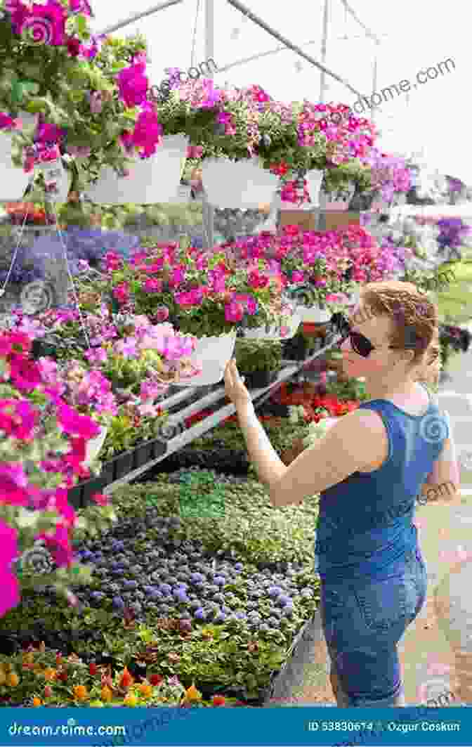 A Woman Carefully Selecting A House Plant In A Plant Nursery Plant: House Plants: Choosing Styling Caring