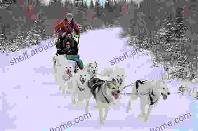 A Woman Standing On A Sled Pulled By A Team Of Sled Dogs, With A Snowy Mountain Range In The Background. Mush: From Sled Dogs To Celiac The Scenic Detour Of My Life