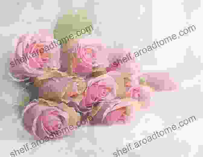 Abstract Floral Photograph Of A Soft Pink Rose Dreamy Pleasures Abstract Floral Photography