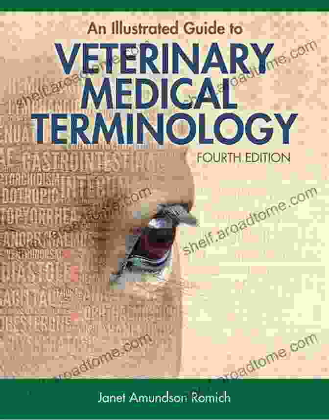 An Illustrated Guide To Veterinary Medical Terminology Book Cover An Illustrated Guide To Veterinary Medical Terminology