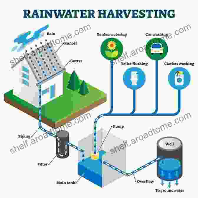 Children Collecting Rainwater, Representing Water Conservation Sustainability: Social Sustainability: For Young Readers