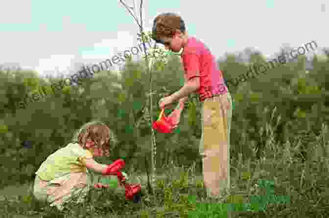 Children Planting Trees As Part Of Sustainable Practices Sustainability: Social Sustainability: For Young Readers