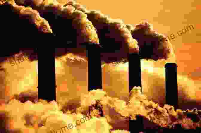 Coal: A Complex And Fascinating Fossil Fuel That Has Shaped Human Civilization And The Natural Environment Coal: Nature And Culture (Earth)