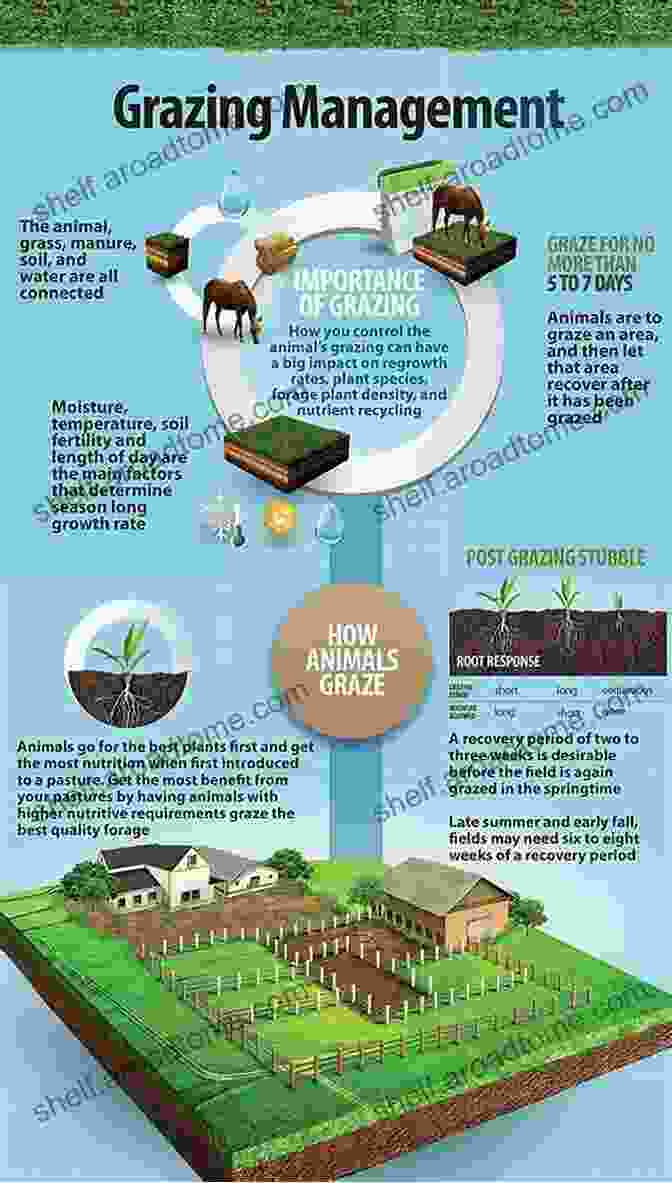 Custom Grazing Techniques For Optimal Land Utilization No Risk Ranching: Custom Grazing On Leased Land