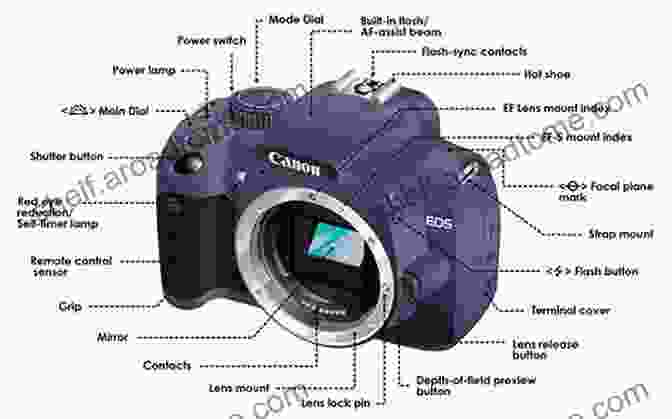 Diagram Of A Digital Camera With Labeled Buttons, Dials, And Menus Digital Photography Experience: Solve All Your Problems About Digital Photography: Digital Photography For Beginners