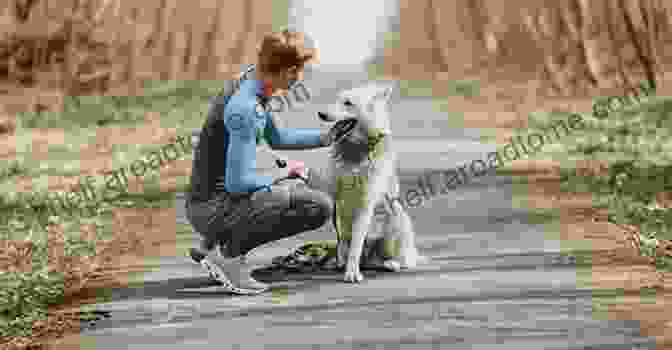 Image Of A Person Petting A Dog Depression Treatment Naturally Depression Self Help: 21 Non Medical Depression Cures To Stay Happy For Life (depression Cure Postpartum Depression Depression Self Help Depression Free)