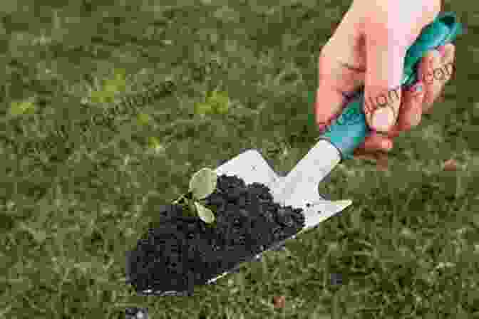 Image Of A Person Using A Trowel To Plant A Seedling In A Community Garden Gardening 101: Friendship Gardens Henry Owen