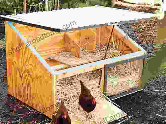 Image Of A Well Designed Chicken Coop With Ample Space, Ventilation, And Nesting Boxes 101 Chicken Keeping Hacks From Fresh Eggs Daily: Tips Tricks And Ideas For You And Your Hens