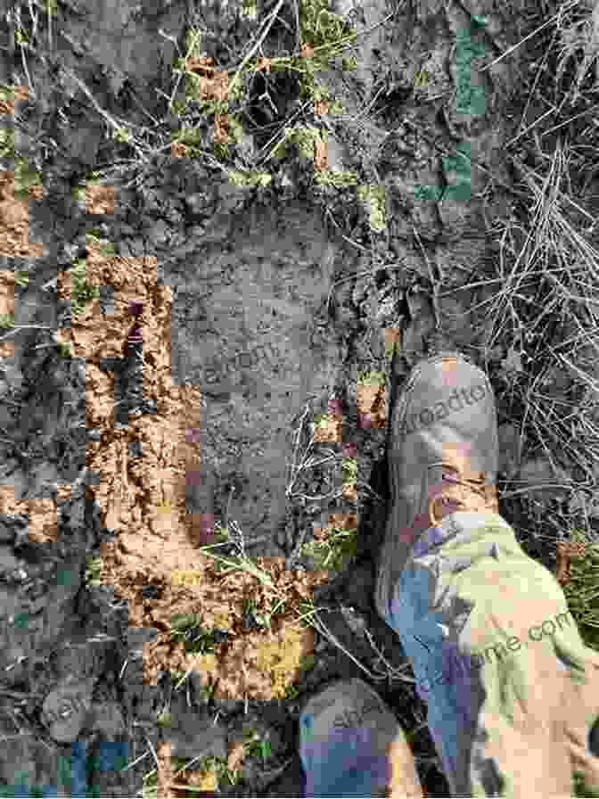 Large Footprints Imprinted In The Mud, Suggesting The Presence Of A Massive Creature The Dino Boneyard (Rusty Wilson S Bigfoot Campfire Stories)