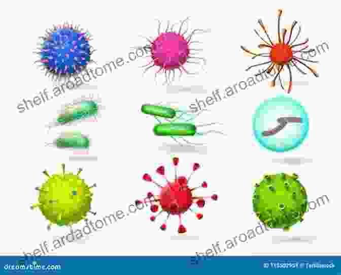 Microscope Image Of Bacteria, Viruses, And Parasites Microbiology In Your Pocket: Quick Pathogen Review