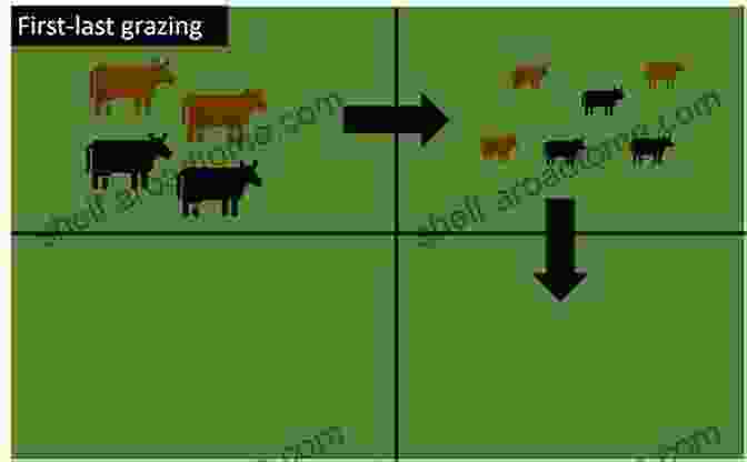 Optimizing Livestock Management For Custom Grazing No Risk Ranching: Custom Grazing On Leased Land