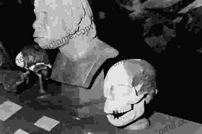 Photo Of The Piltdown Man Skull, A Famous Archaeological Hoax ART HOAX Gregory Sholette