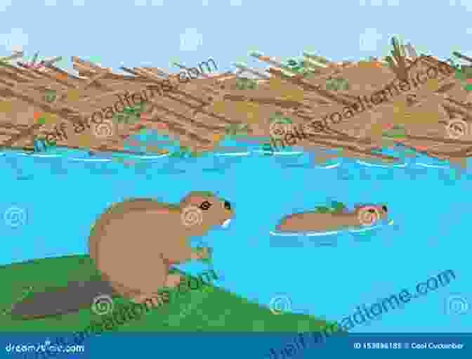 Pop Up Illustration Of A Family Of Beavers Building A Dam My 50 States 2: Meet The Mammals Of The States With Pop Ups