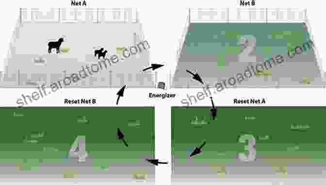 Practical Steps To Implement Custom Grazing Techniques No Risk Ranching: Custom Grazing On Leased Land