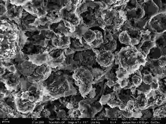 Scanning Electron Micrograph Of A Zeolite Catalyst X Ray Diffraction By DisFree Downloaded Lamellar Structures: Theory And Applications To Microdivided Silicates And Carbons