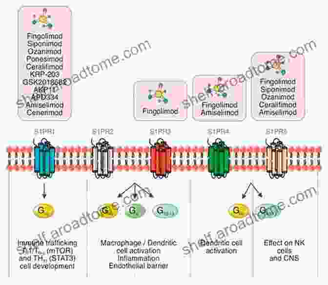 Sphingosine Phosphate Signaling Pathways Sphingosine 1 Phosphate Signaling In Immunology And Infectious Diseases (Current Topics In Microbiology And Immunology 378)