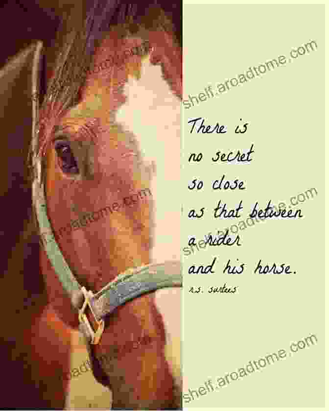 The Cover Of The Book 'Equine Osteopathy: What The Horses Have Told Me' Equine Osteopathy: What The Horses Have Told Me