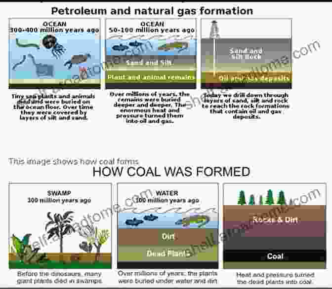 The Geological Formation Of Fossil Fuels Buried Sunlight: How Fossil Fuels Have Changed The Earth