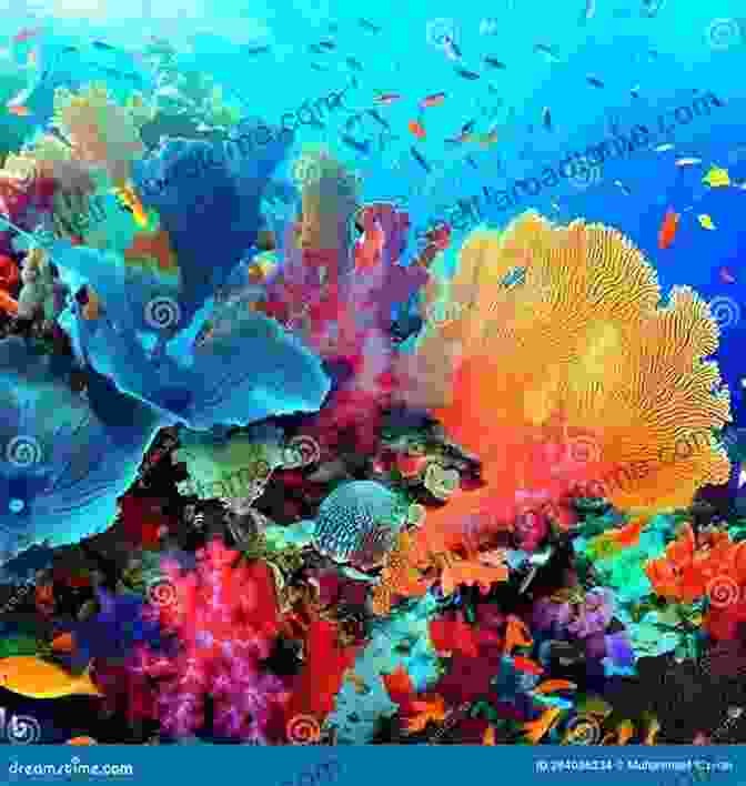 Vibrant Coral Reef Teeming With A Kaleidoscope Of Marine Creatures The Atlantic Coast: A Natural History