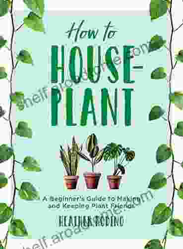 How To Houseplant: A Beginner S Guide To Making And Keeping Plant Friends