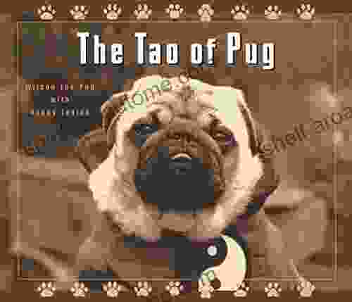 The Tao of Pug Nancy Levine