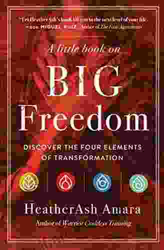 A Little On Big Freedom: Discover The Four Elements Of Transformation