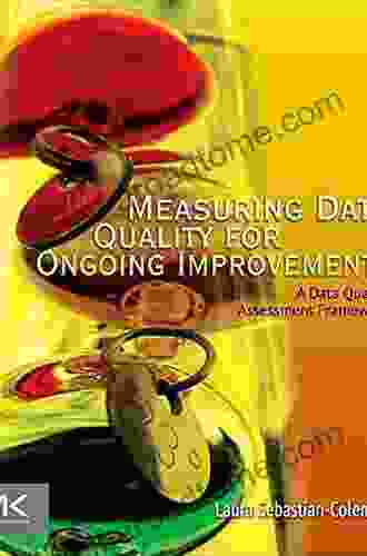 Measuring Data Quality For Ongoing Improvement: A Data Quality Assessment Framework (The Morgan Kaufmann On Business Intelligence)