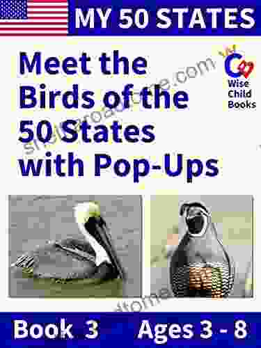 My 50 States 3: Meet The Birds Of The 50 States With Pop Ups