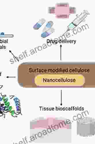 Oligosaccharides Of Chitin And Chitosan: Bio Manufacture And Applications