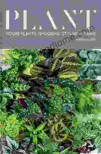 Plant: House Plants: Choosing Styling Caring