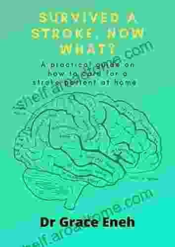 SURVIVED A STROKE NOW WHAT?: A Practical Guide On How To Care For A Stroke Patient At Home