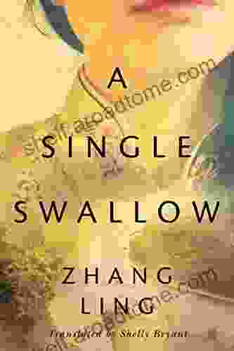 A Single Swallow Zhang Ling