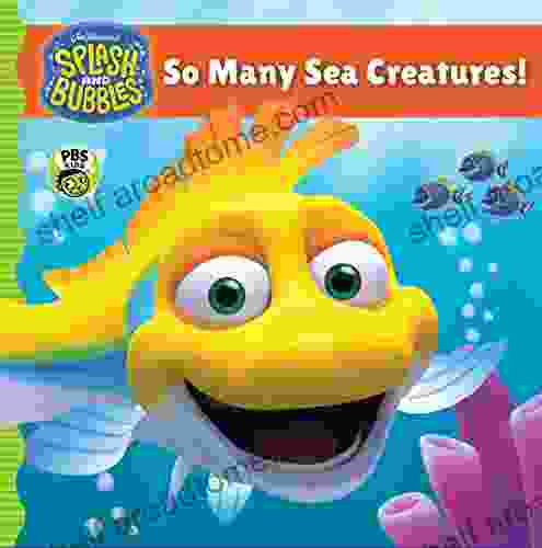 Splash And Bubbles: So Many Sea Creatures