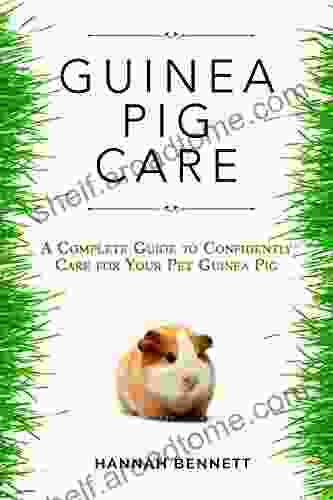 Guinea Pig Care: A Complete Guide To Confidently Care For Your Pet Guinea Pig