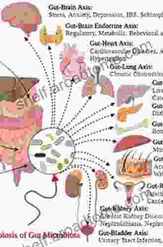 Metabolism of Human Diseases: Organ Physiology and Pathophysiology