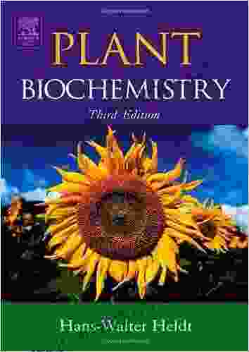 Plant Biochemistry Hans Walter Heldt