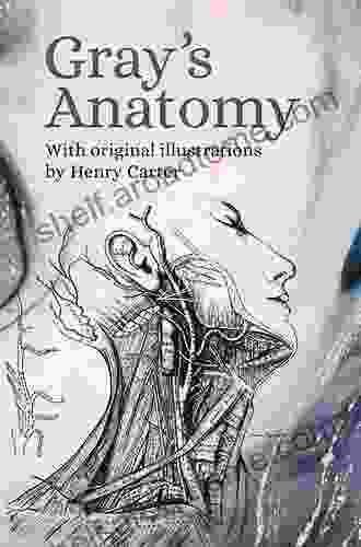 Gray S Anatomy E Book: The Anatomical Basis Of Clinical Practice