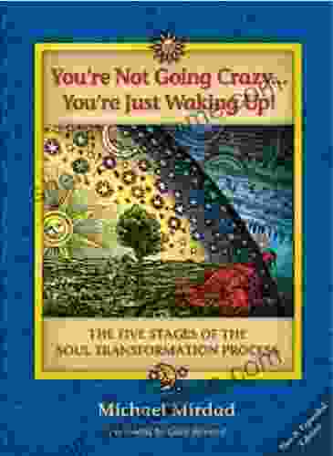 You Re Not Going Crazy You Re Just Waking Up : The Five Stages Of The Soul Transformation Process